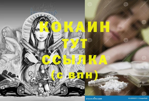 соль ск Медногорск