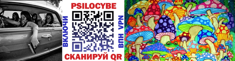 Псилоцибиновые грибы Psilocybine cubensis  Новоалександровск 
