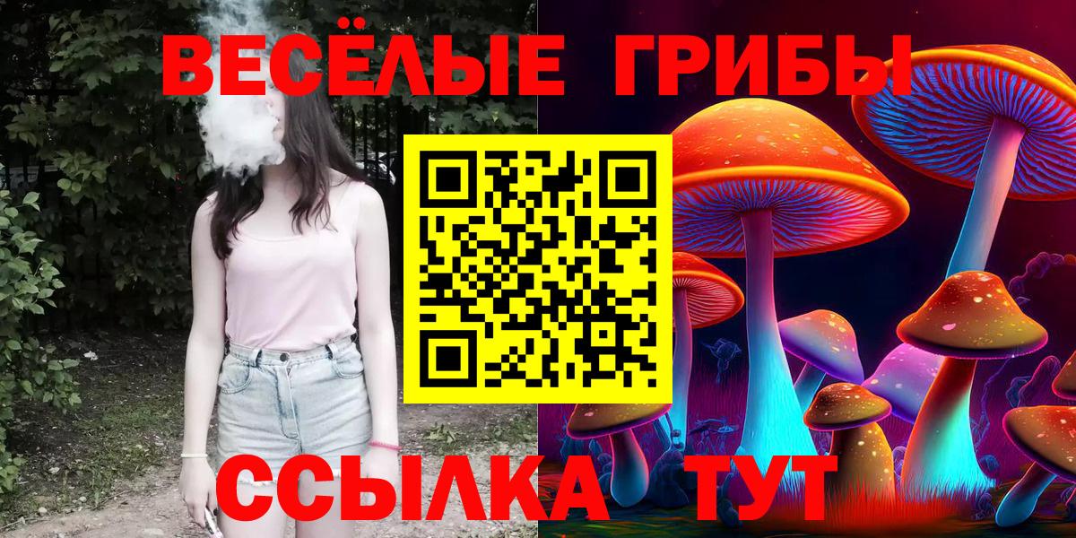 Галлюциногенные грибы Cubensis Новоалександровск