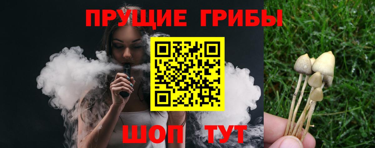 Галлюциногенные грибы Psilocybine cubensis  Новоалександровск  Галлюциногенные грибы ЛСД 