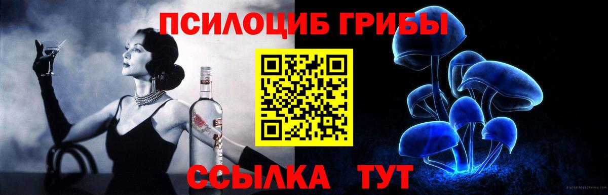 Псилоцибиновые грибы MAGIC MUSHROOMS Новоалександровск