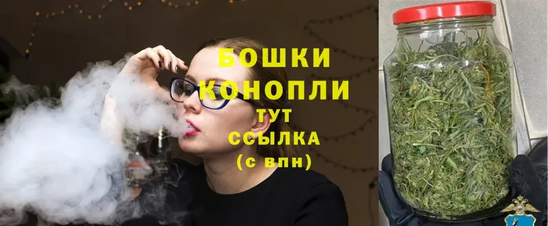 Конопля OG Kush  Новоалександровск 